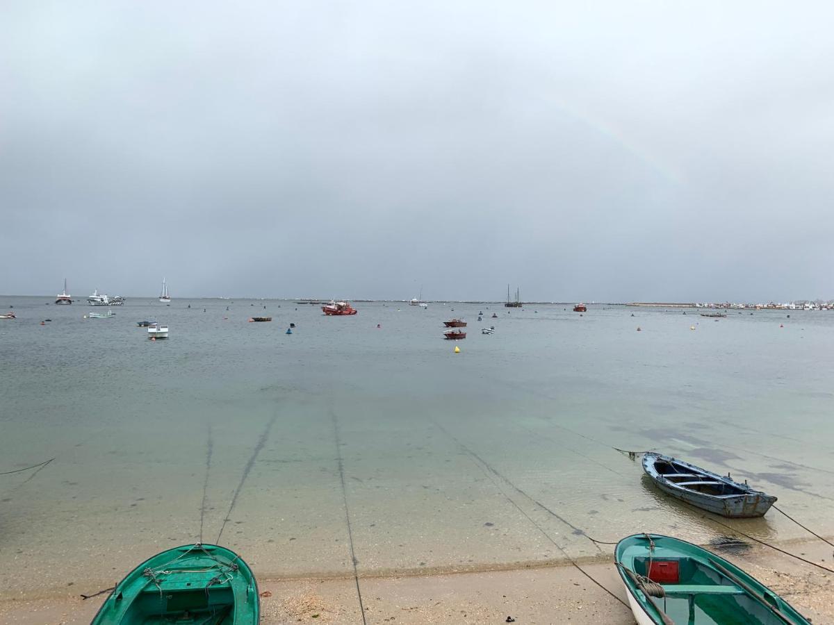 Apartamento En La Isla Con Vistas Al Mar イスラ・デ・アローサ エクステリア 写真